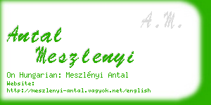 antal meszlenyi business card